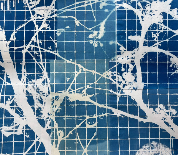 Sharktown Vines #1, cyanotype print collage by Cerulean Arts Collective member Bill Brookover available at Cerulean Arts