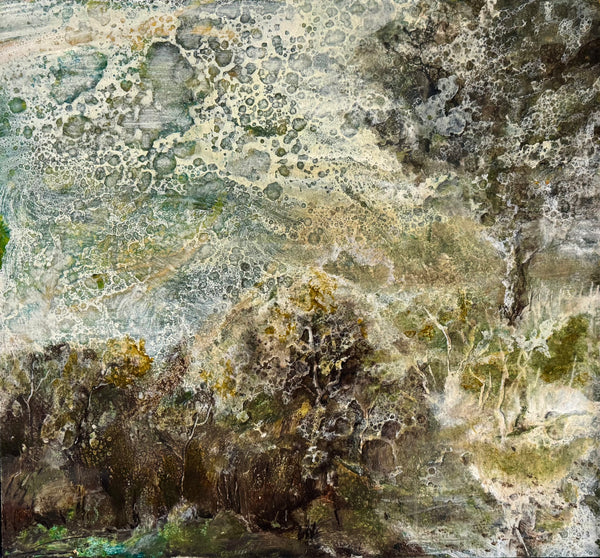 Michael Frechette: Seeing Things
