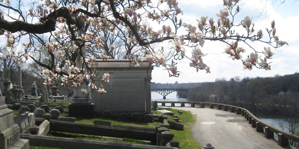 Plein Air Painting at Historic Laurel Hill Cemetery