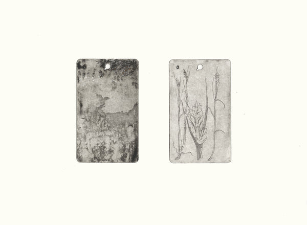 Below, Above (41° 42’ 42.27” N, 71° 17’ 20.19” W, Distichlis spicata) print on paper by artist Heather McMordie. Included in the exhibition, Elemental, at Cerulean Arts, October 2 - 27, 2024.