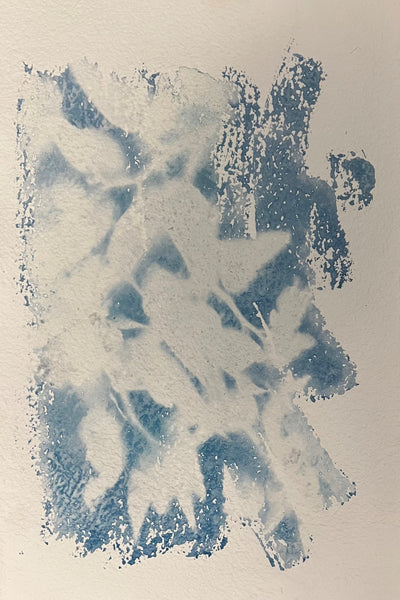Summer Begonia, cyanotype on paper floral print by Cerulean Arts Collective Member Amanda Moseley.