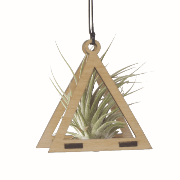 triangle air plant holder Air Plant Hanger