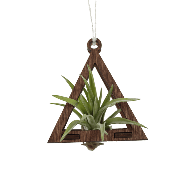 wooden plant hanger Air Plant Hanger