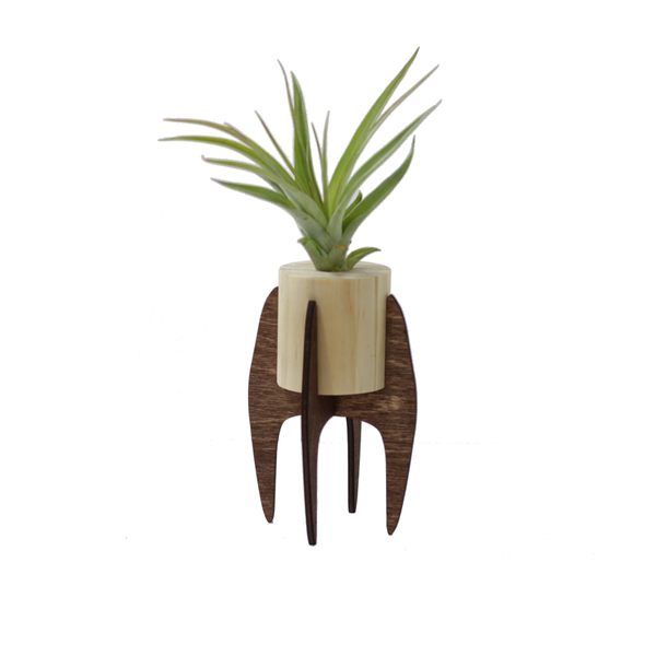 air plant stands Mini Air Plant Stand – Cerulean Arts