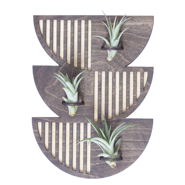 horizontal plant hanger Trio Sunrise Plant Hanger