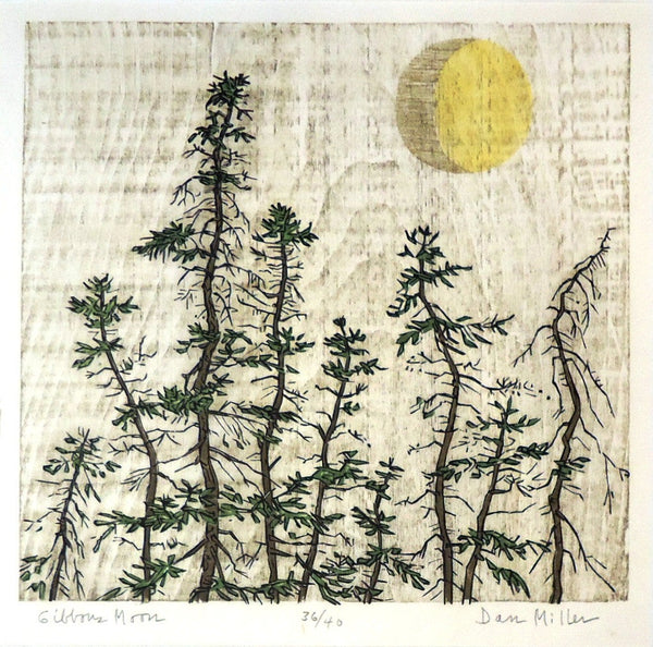 Dan Miller: Gibbous Moon