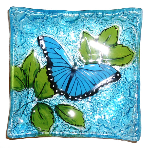 Fused glass small plate featuring a blue morpho butterfly, available at Cerulean Arts. 