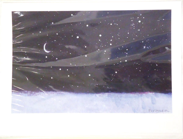 Set of 12 notecards of a winter night sky reproduced from an original artwork by Cerulean Arts Collective Member Ruth Formica. 