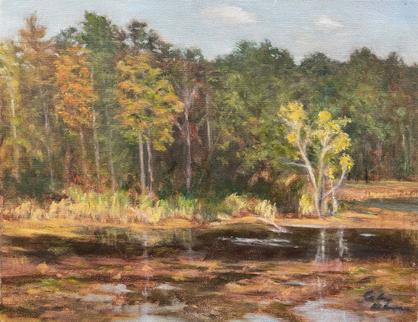 Kittatinny Early Fall, oil on canvas landscape painting by Cerulean Arts Collective member Celia Abrams. 