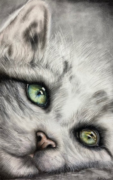 Pet Portrait Drawing Workshop with Alicia Mino Gonzalez
