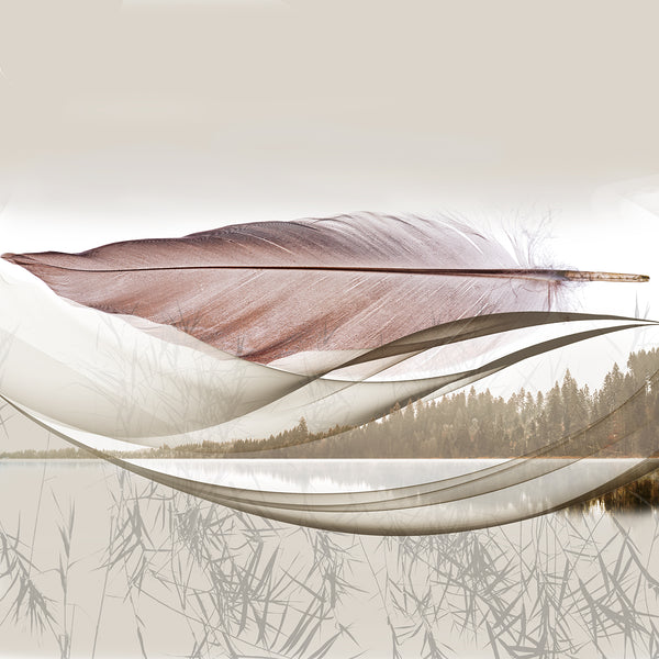 Abstract design with feather-like shapes on a light background