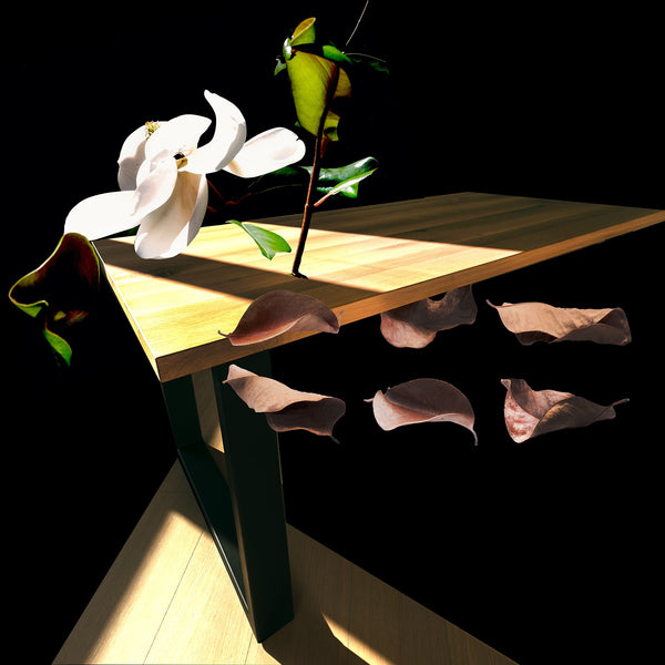 inkjet print depicting dramatically lit flowers, leaves and table shapes floating in a black space