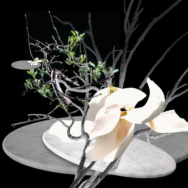 inkjet print depicting photo-manipulated imagery of magnolia flowers, branches, leaves and marble disks dramatically lit and floating in a black space.