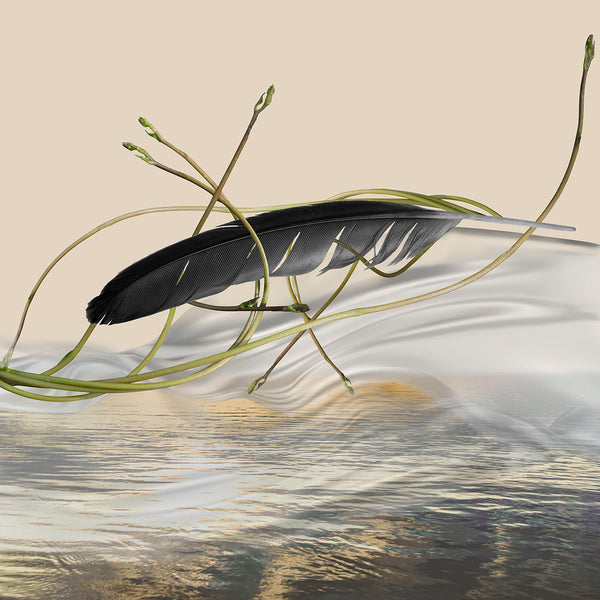Print of a feather resting on water with grasses, on a beige background