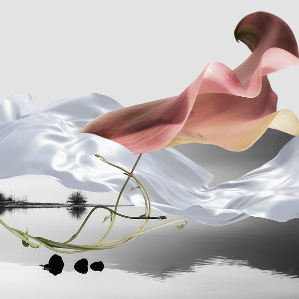 Abstract art print with flowing fabric and floral elements on a reflective water surface.