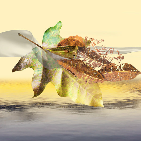 Print with a collage of leaves and a blurred water background