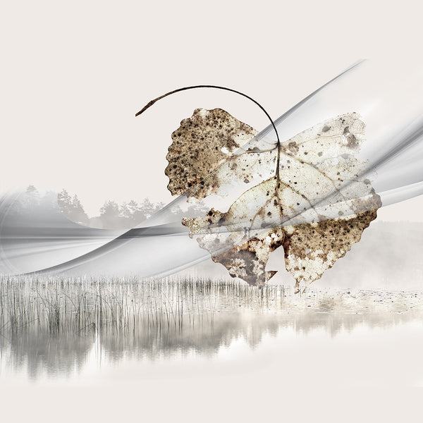 Abstract print with a leaf suspended over a water landscape