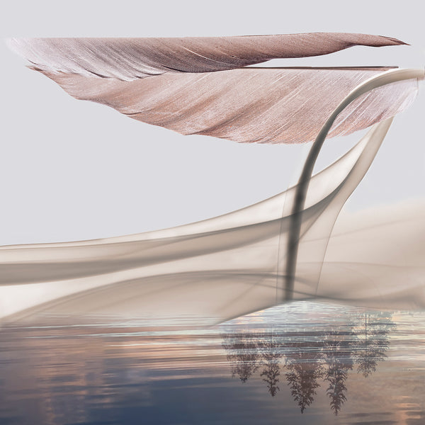 Abstract print with curved lines and feather-like shapes over rippling water