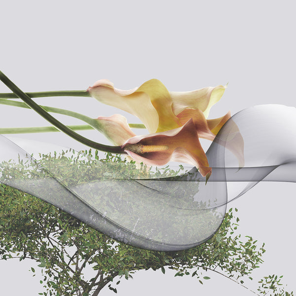 Abstract print with flowers and a curving shape over a tree