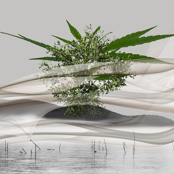 Abstract print with leaves and a tree imposed on a water landscape background