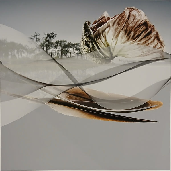 Abstract art piece with wavy lines and a central object on a gray background