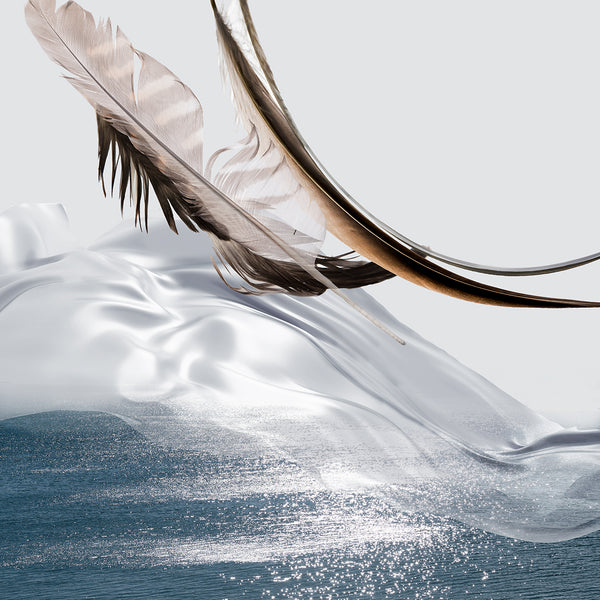 Abstract print with a feather lying over shimmering water