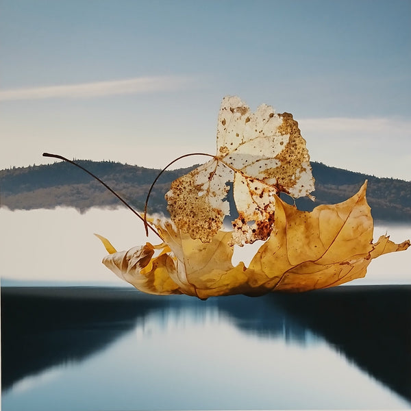 Dry leaf with a mountainous landscape in the background