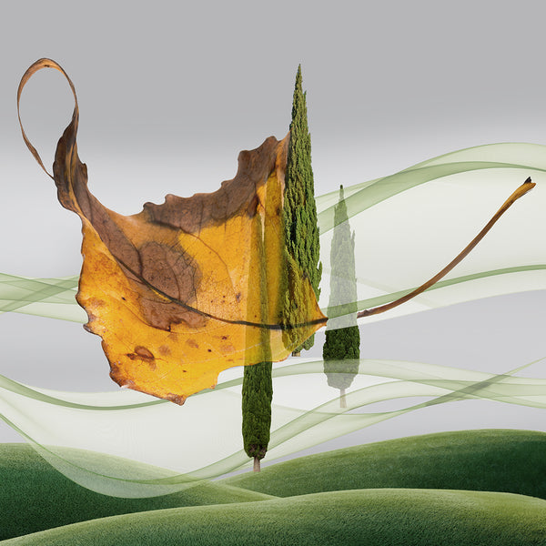 Abstract print of leaves and trees with a blurred landscape background