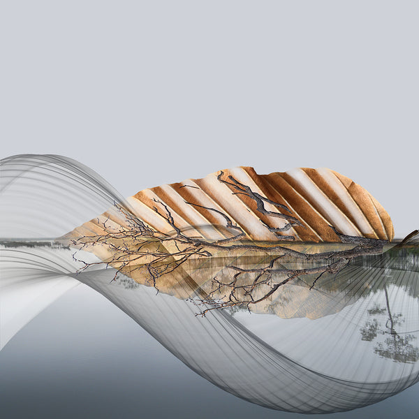 Abstract print with wavy lines, a leaf and tree reflections on water