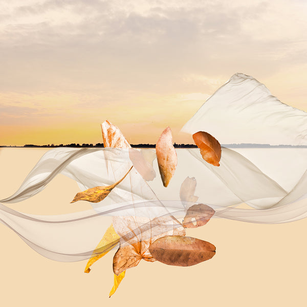 Abstract print with flowing fabric and autumn leaves against a sunset sky.