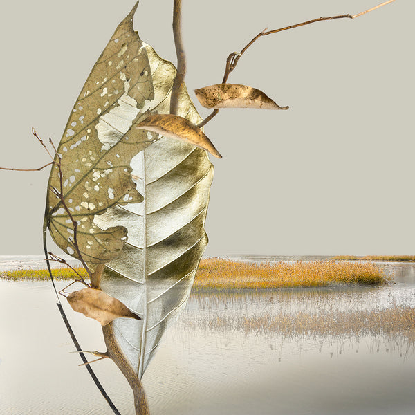 Abstract print with a leaf and branches over a water landscape