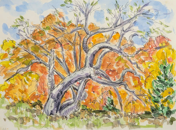 Alysa Bennett: Fall Tree