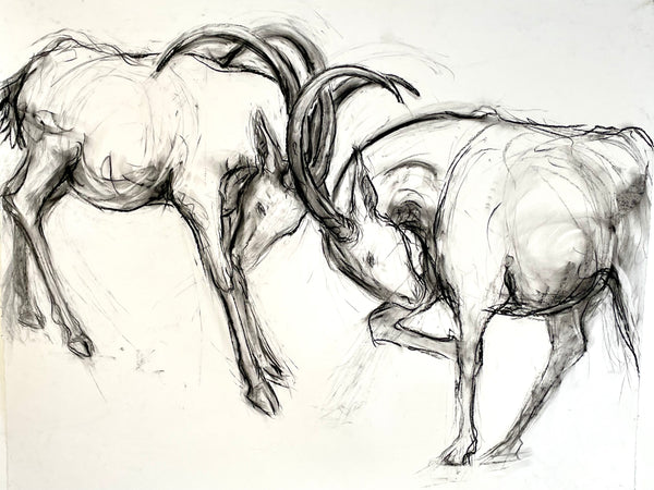 Fight, charcoal on paper drawing by Cerulean Arts Collective Member Alysa Bennett. 
