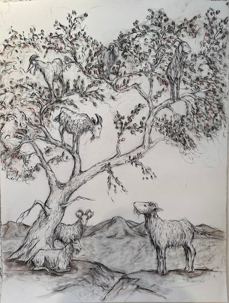 Alysa Bennett: Goats in Trees