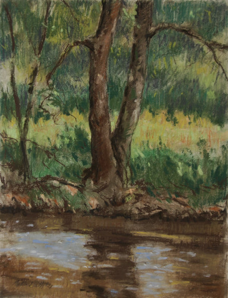 Mark Bockrath: Edge of the Creek