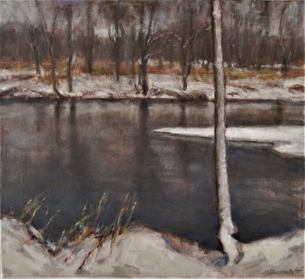 Winter landscape with a lake and bare trees