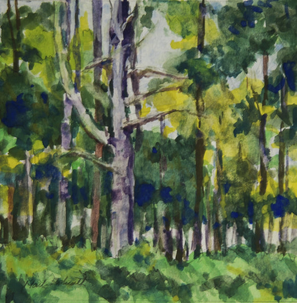 Mark Bockrath: Deer Isle Woods