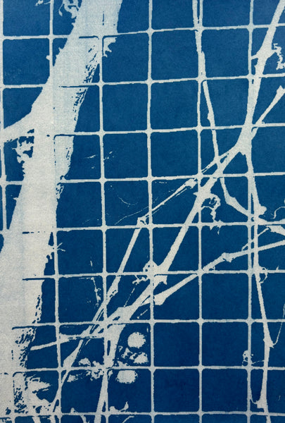 Fragment #11, cyanotype print by Cerulean Arts Collective member Bill Brookover available at Cerulean Arts