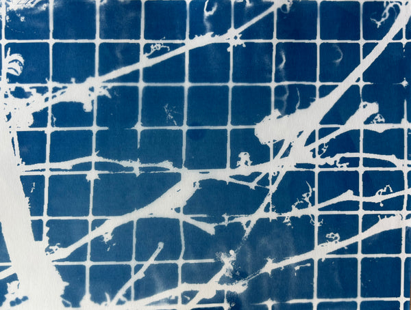 Fragment #15, cyanotype print by Cerulean Arts Collective member Bill Brookover available at Cerulean Arts