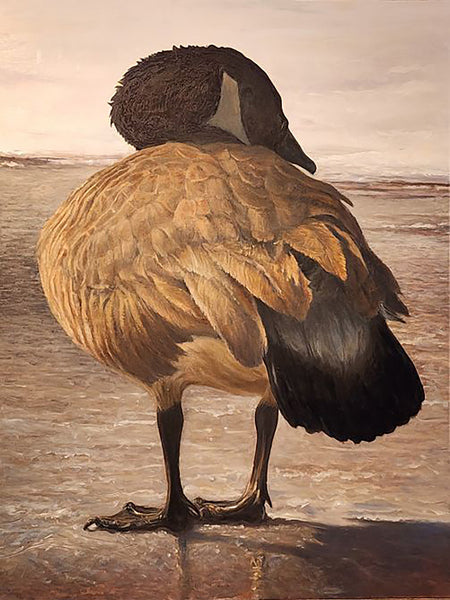 Fluffing, oil on panel painting by Cerulean Arts Collective Member Philip J. Carroll.