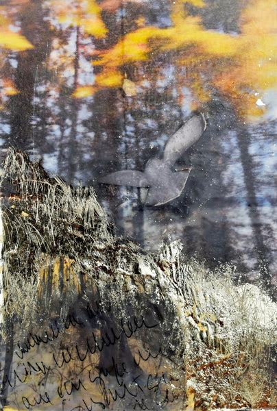 Mixed media encaustic photograph with the image of a bird overlaying a forest landscape.