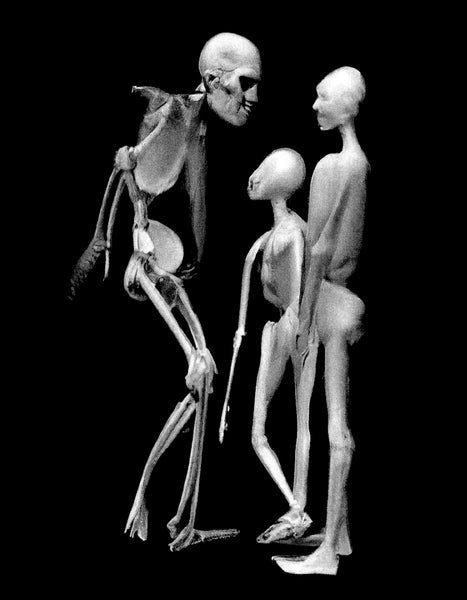 Black and white digital print of three skeletal humanoid figures