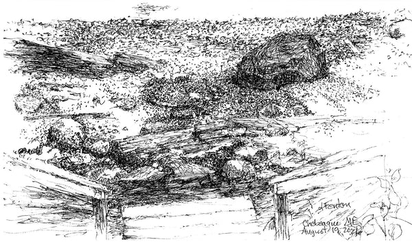 Chebeague Island, Maine, August 19,&nbsp;micron pen on paper drawing by Cerulean Arts Collective Member Leslie Fenton.