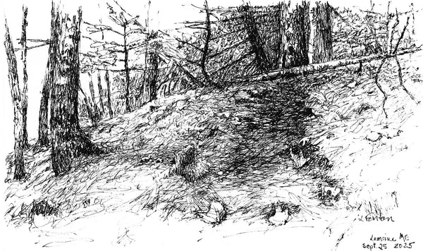 Lamoine, Maine, September 25, micron pen on paper drawing by Cerulean Arts Collective Member Leslie Fenton.