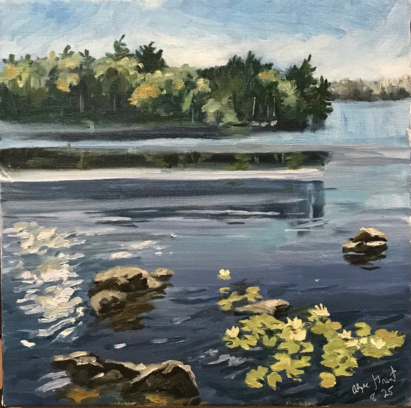 Alyce Grunt: Reflections Interrupted