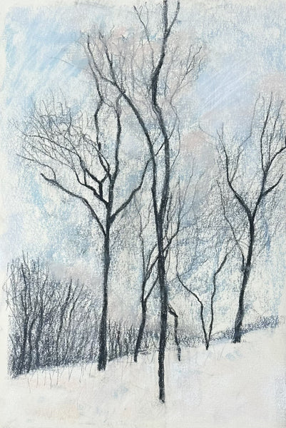 Winter landscape with bare trees and snow