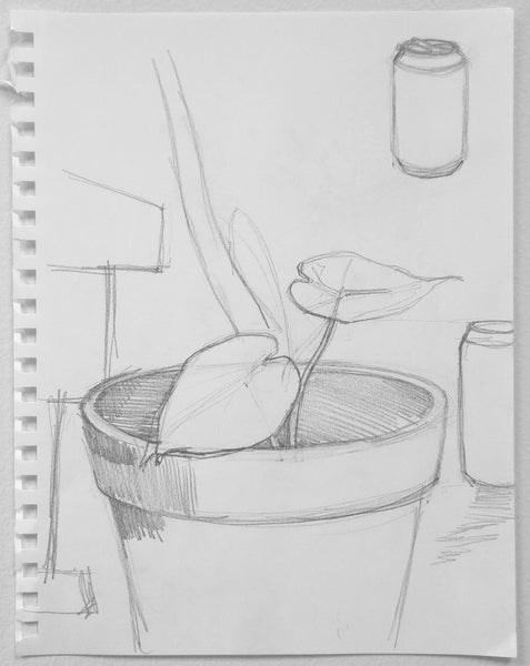 Pencil sketch of a plant in a pot on a notebook page.