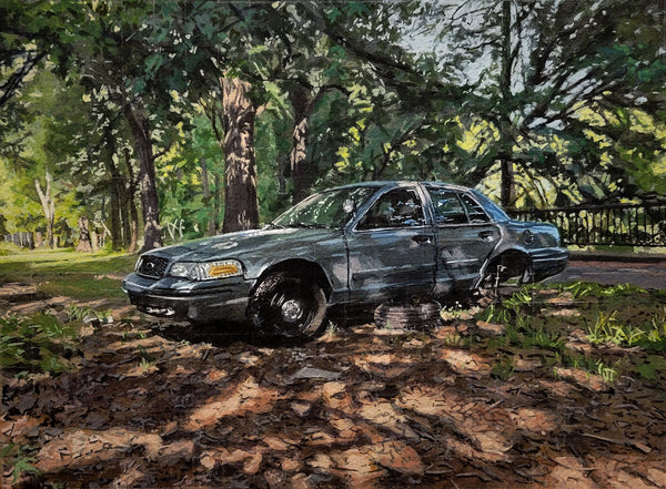 Car parked under a tree in a park-like setting