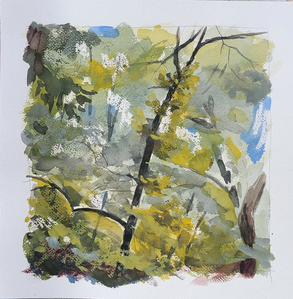A watercolor painting of a forest scene with green and yellow foliage, white blossoms, dark tree trunks, and patches of blue sky, shown on a white paper background.