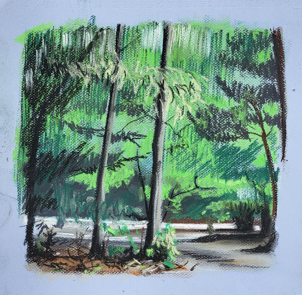 A pastel landscape painting of tall trees in a forest, with green foliage, gray trunks, and a pale blue paper background.